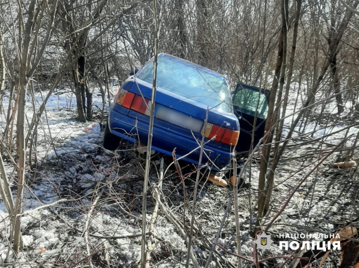 Авто з'їхало у кювет: у аварії на Буковині травмувались двоє літніх людей
