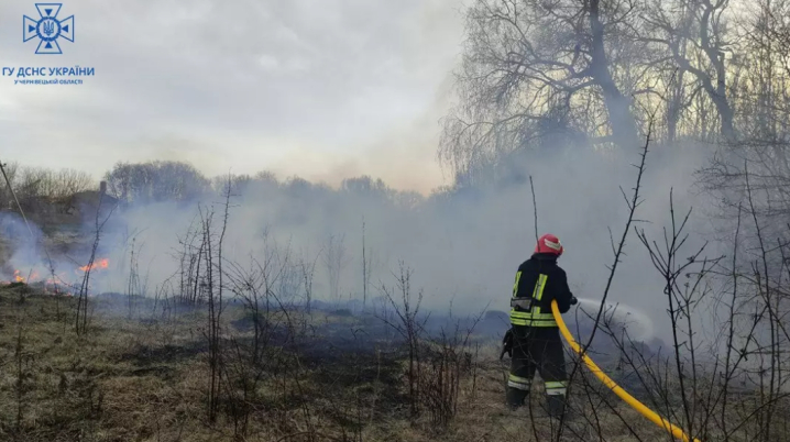 В Чернівецькій області за добу сталося 11 пожеж: більшість на відкритій території