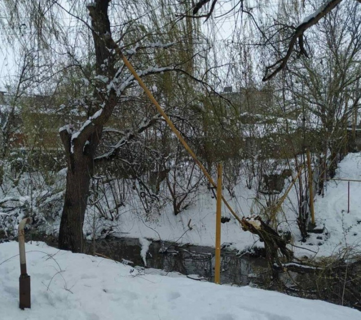 У Новоселиці дерево пошкодило газопровід, місто без газу