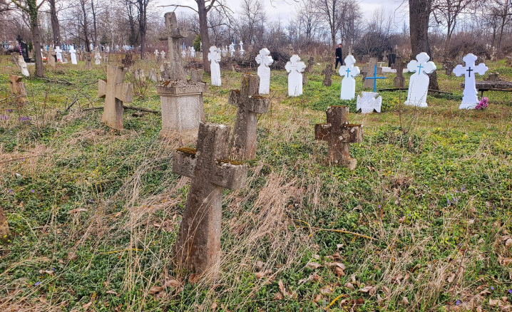 У Ломачинцях виявили один із найбільших прадавніх цвинтарів України (фото)