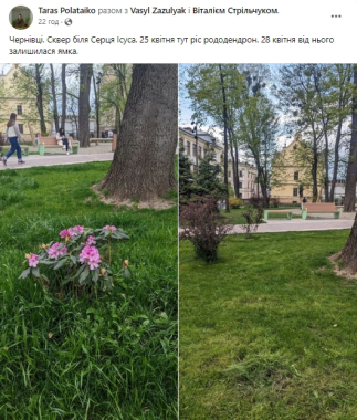 Вандали викопують квіти і дерева з чернівецьких парків