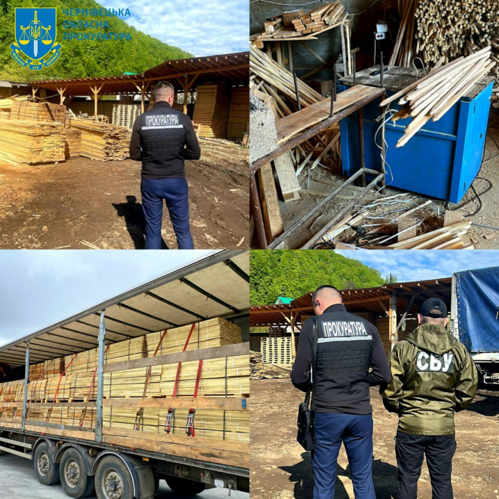 Переправляли цінну деревину до ЄС: на Буковині перекрито канал контрабанди 