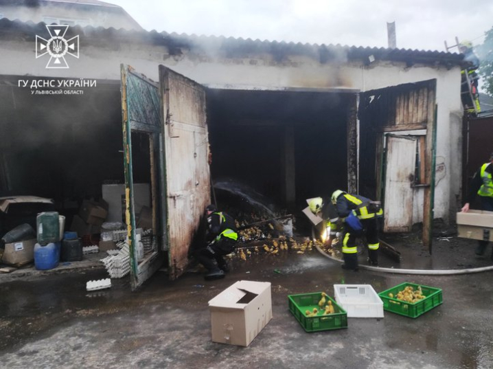 У пожежі на міні-птахофермі на Львівщині загинули 350 каченят