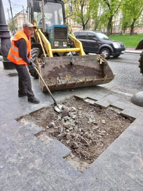 У центрі Львова вперше висадили кліматичні дерева: створять затінок і вбиратимуть воду