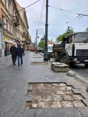 У центрі Львова вперше висадили кліматичні дерева: створять затінок і вбиратимуть воду