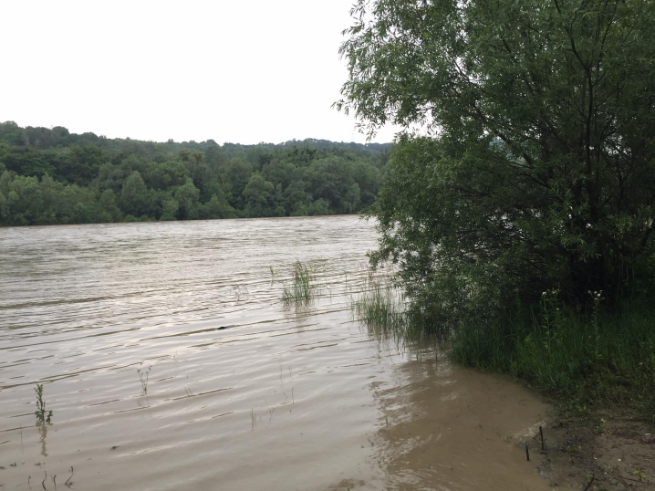 У річці Прут через тривалі зливи піднімається рівень води (фото)