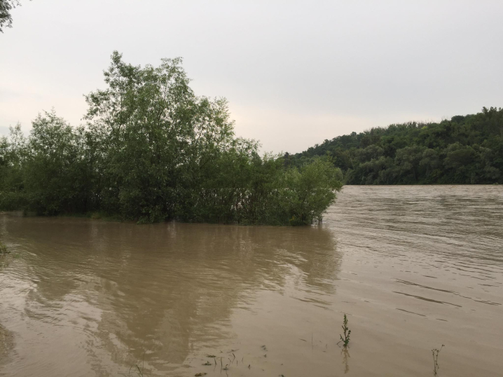 У річці Прут через тривалі зливи піднімається рівень води (фото)