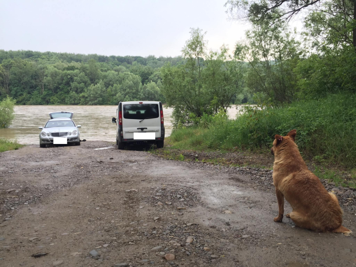 У річці Прут через тривалі зливи піднімається рівень води (фото)