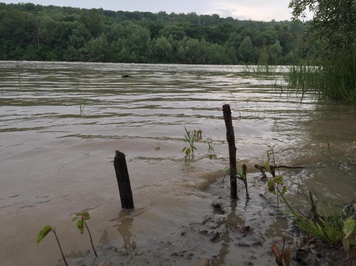 Затопило острови: рівень води у Пруті щогодини підіймається на 5-6 см