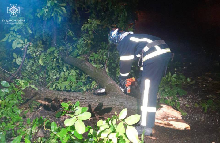 Через негоду на двох вулицях у Чернівцях на проїжджі частини попадали дерева Через негоду на двох вулицях у Чернівцях на проїжджі частини попадали дерева