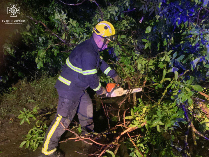 Через негоду на двох вулицях у Чернівцях на проїжджі частини попадали дерева Через негоду на двох вулицях у Чернівцях на проїжджі частини попадали дерева