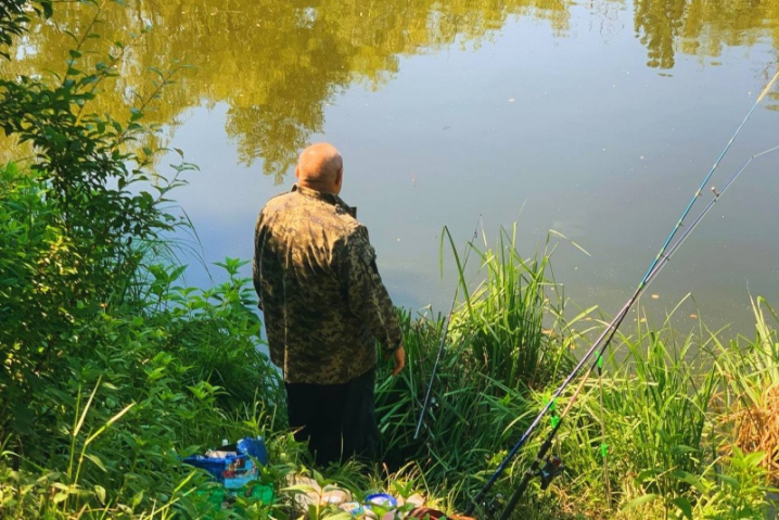 На озері у Чернівцях з'явився новий вид черепах - червоновухі На озері у Чернівцях з'явився новий вид черепах - червоновухі