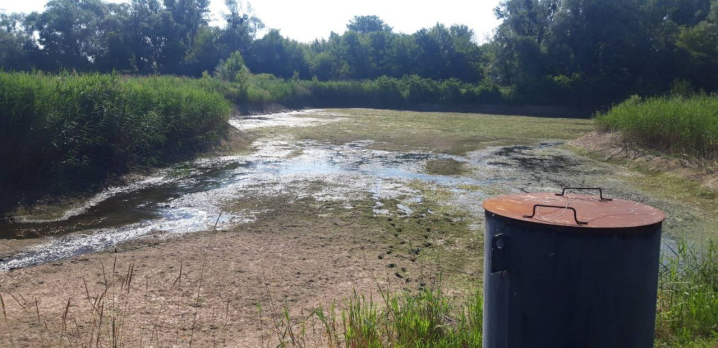 Ситуація справді надзвичайна: у "Чернівціводоканал" показали як виглядає Прут та його басейни