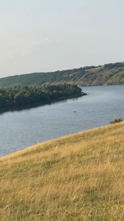 Чоловіки переплили Дністер на надувному матраці і планували незаконно потрапити до Молдови