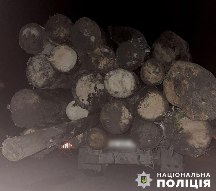 Незаконно перевозив деревину: буковинцю "світить" до 8 років тюрми Незаконно перевозив деревину: буковинцю "світить" до 8 років тюрми