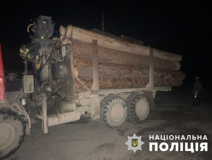 Незаконно перевозив деревину: буковинцю "світить" до 8 років тюрми Незаконно перевозив деревину: буковинцю "світить" до 8 років тюрми