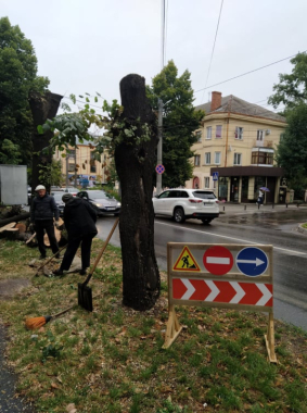 "Добре, що позносили дерева": чернівецькі вулиці перетворились на пательню