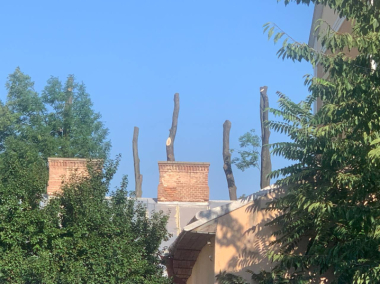 "Добре, що позносили дерева": чернівецькі вулиці перетворились на пательню