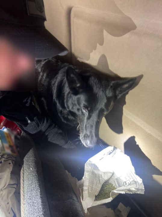 У Порубному службовий собака знайшов у кабіні вантажівки наркотики