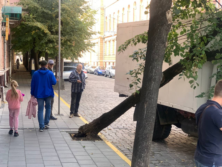 У Чернівцях на Міцкевича дерево звалилось на вантажівку