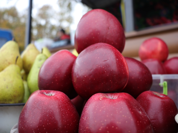 Громада на Буковині облаштувала для місцевих підприємців торгові місця Громада на Буковині облаштувала для місцевих підприємців торгові місця