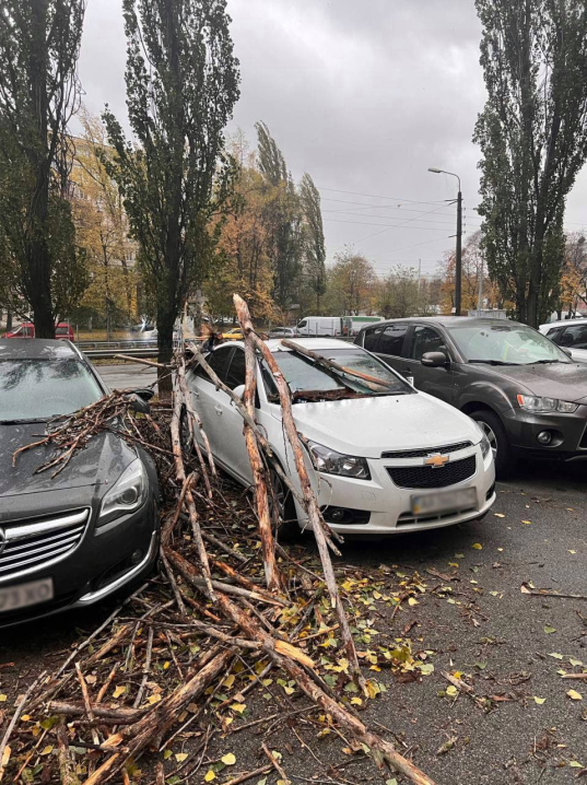 Буревій у Києві: чоловіка розчавило дерево, є потерпілі та руйнування