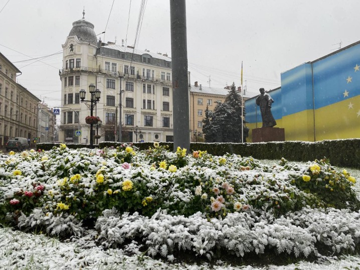 У Чернівцях випав перший сніг