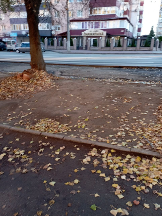 Чернівчани скаржаться на зруйновані тротуари біля дитячих центрів