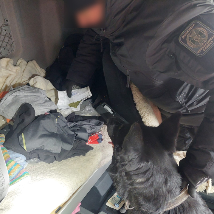 Сховав "траву" у шкарпетку: на Порубному собака винюхав наркотики у далекобійника Сховав "траву" у шкарпетку: на Порубному собака винюхав наркотики у далекобійника