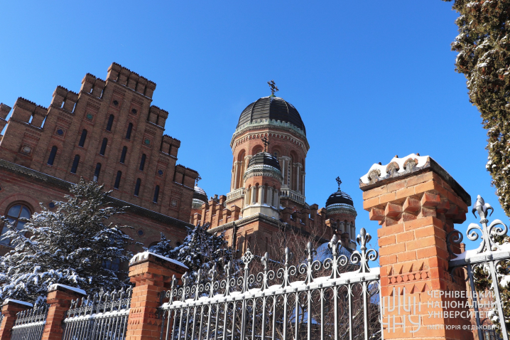 Засніжена Alma-mater: чарівні світлини Чернівецького національного університету