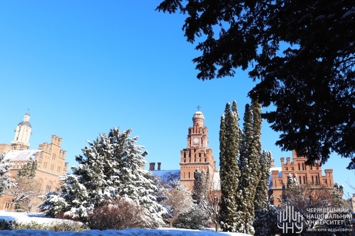 Засніжена Alma-mater: чарівні світлини Чернівецького національного університету