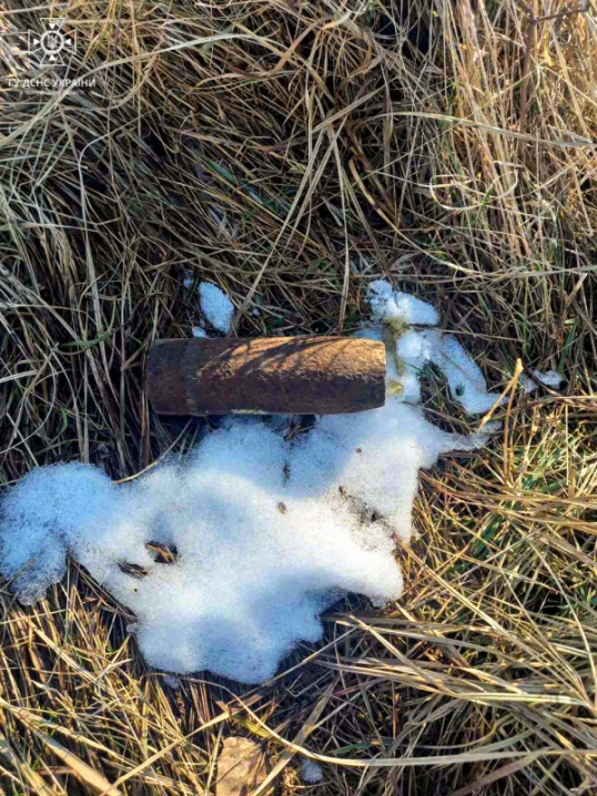 На Буковині знайшли боєприпас Першої світової війни На Буковині знайшли боєприпас Першої світової війни