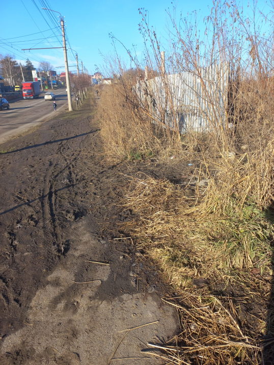 Діти йдуть по дорозі: мешканці Південно-Кільцевої у Чернівцях скаржаться на розбиті хідники