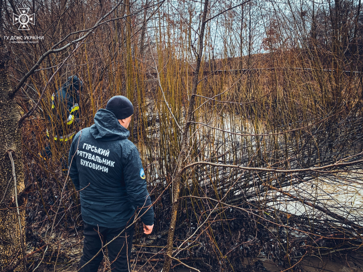 8-річну дівчинку, яка вчора впала у річку на Буковині, досі не знайшли: пошуки тривають