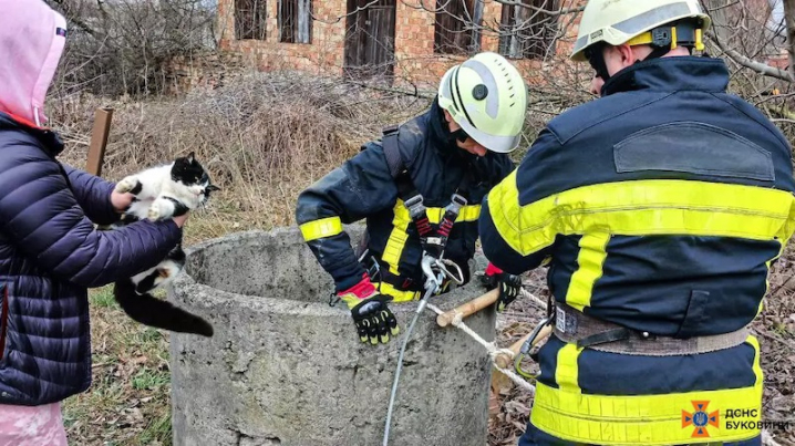 У Лужанах рятувальники дістали кота з 8-метрового колодязя