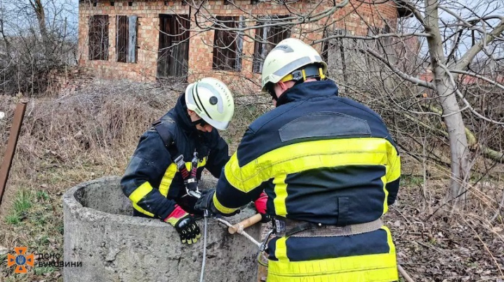 У Лужанах рятувальники дістали кота з 8-метрового колодязя