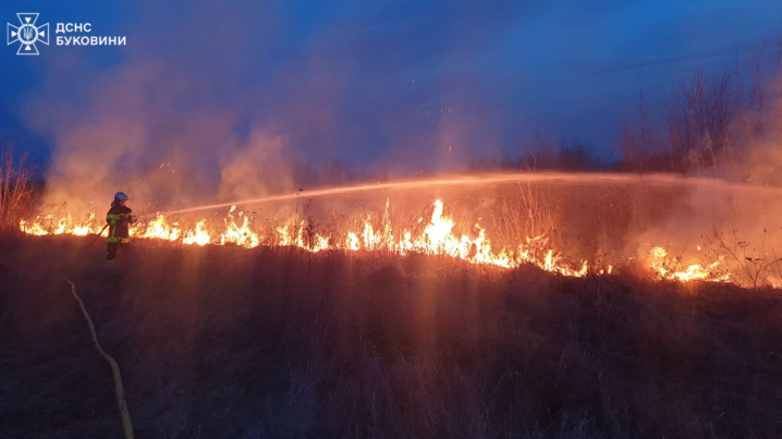 Згоріло 11 га сухостою та кілька господарських будівель: 21 пожежа сталася на Буковині