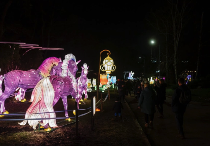 У Чернівцях вперше відбудеться фестиваль ліхтарів “Lights and Dreams”