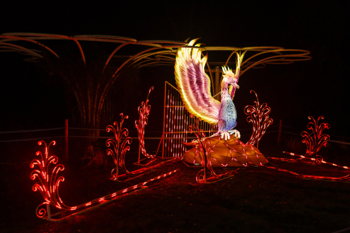 5 квітня у Чернівцях запрацює парк світлових фігур Lights&Dreams