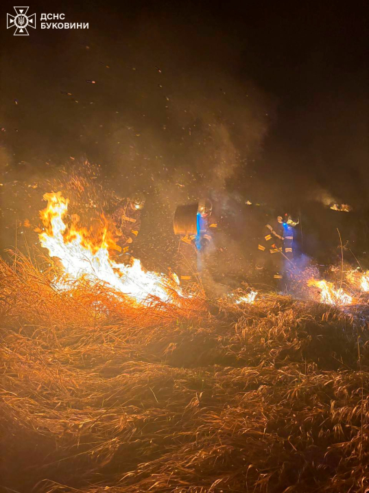 Горіли гектари сухостою та літня кухня: на Буковині за добу сталося дві пожежі