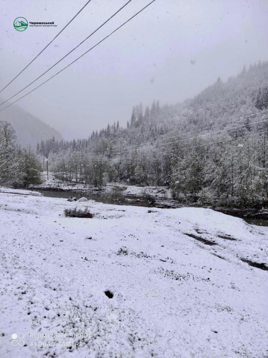 У мережі публікують дивовижні фото, як Буковину засипало снігом