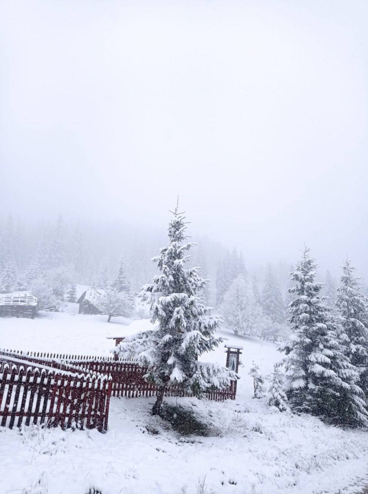У мережі публікують дивовижні фото, як Буковину засипало снігом