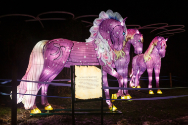 Сьогодні у Чернівцях запрацює парк світлових фігур Lights&Dreams