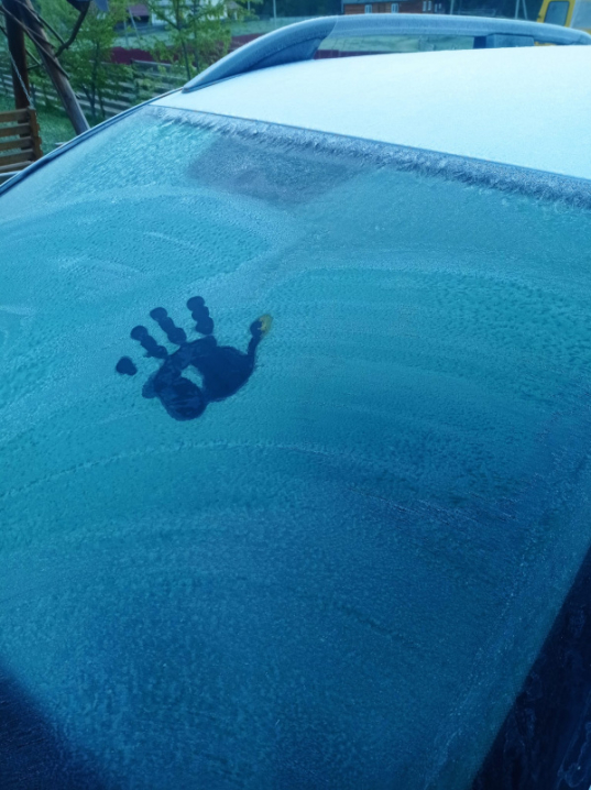 В травні на Буковині вдарив 6-градусний мороз В травні на Буковині вдарив 6-градусний мороз