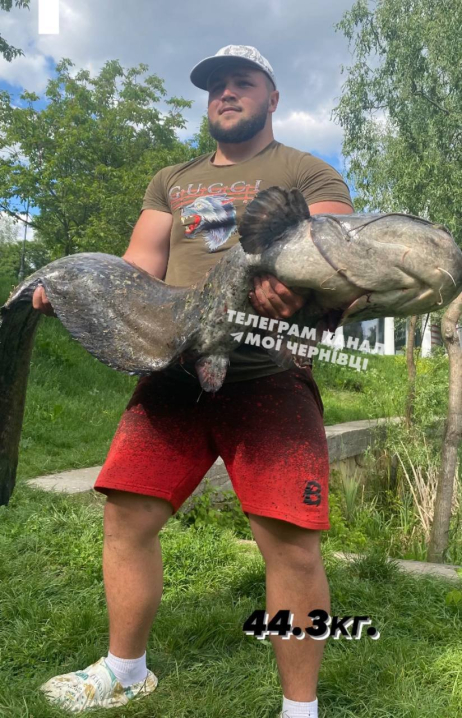 Велетенського сома впіймали у водоймі парку «Жовтневий» у Чернівцях: вага риби