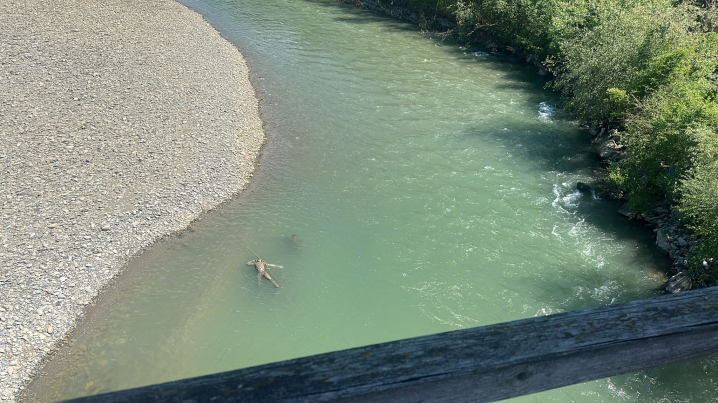 У річці Тиса знайшли тіло ще одного потопельника