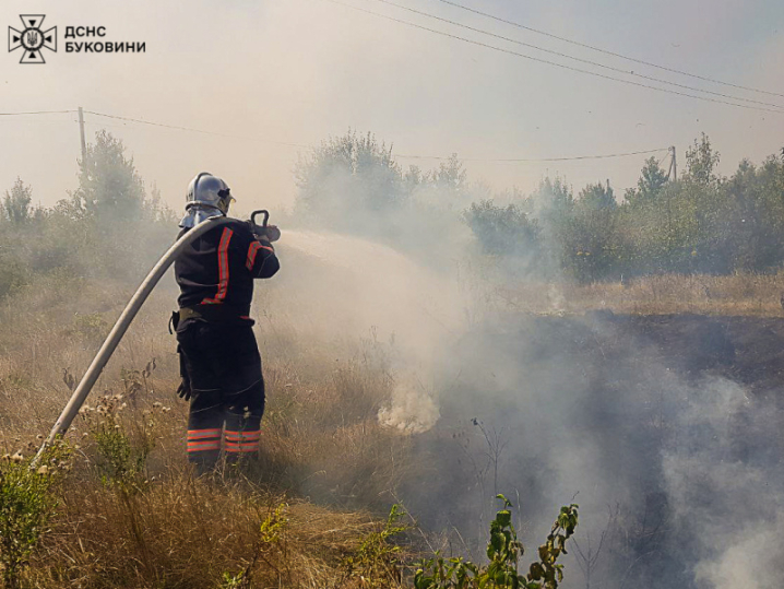 Горіло 3 га поля: на Буковині за минулу добу сталося три пожежі