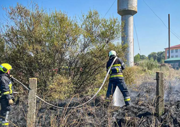 Палало по всій області: на Буковині ліквідували 7 загорянь на відкритій місцевості