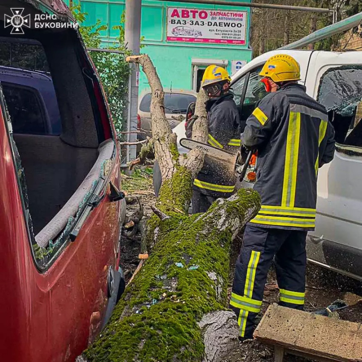 У Чернівцях на вулиці Головній впало дерево і понівечило 3 автівки