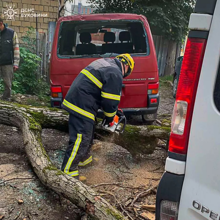 У Чернівцях на вулиці Головній впало дерево і понівечило 3 автівки